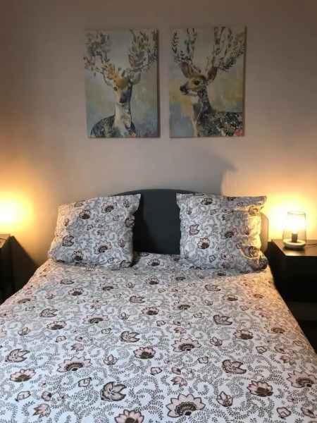 Bel Appartement Hypercentre T3/70 M2 Clermont-Ferrand Esterno foto